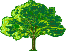 Tree Decal / Sticker 10