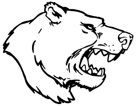 Bear Head Mascot Decal / Sticker