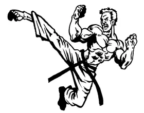 Karate Decal / Sticker