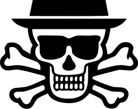 Breaking Bad Heisenberg (Walter White) Skull Decal / Sticker 20