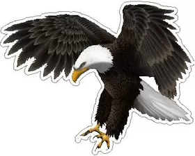 Attack Eagle 01 Decal / Sticker