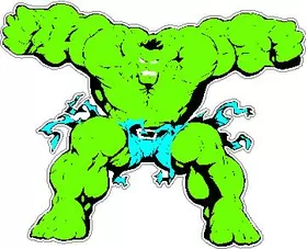 Hulk Decal / Sticker 07