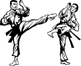 Karate Decal / Sticker