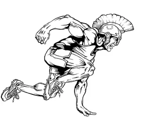 Track and Field Paladins / Warriors Mascot Decal / Sticker 1