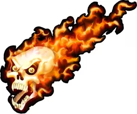 True Fire Flaming Skull Decal / Sticker