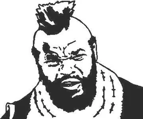 MR. T Decal / Sticker