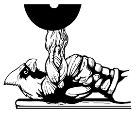 Weightlifting Cardinals Mascot Decal / Sticker 6