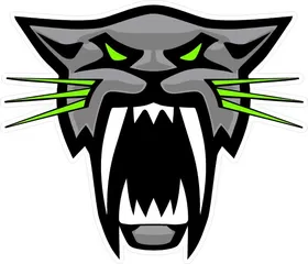 Arctic Cat Decal / Sticker 14