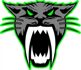 Arctic Cat Head Decal / Sticker 13 Green