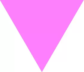 Pink Triangle Decal / Sticker 01 ANY COLOR YOU WANT