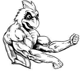 Weightlifting Cardinals Mascot Decal / Sticker 4