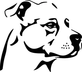 Pitbull Decal / Sticker 15