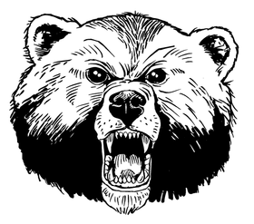 Bear Mascot Decal / Sticker