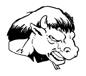 Buffalo Head Mascot Decal / Sticker