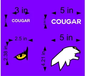 Top Gun Cougar Helmet Decal / Sticker Set 01