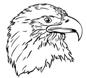 Eagles Mascot Decal / Sticker 7