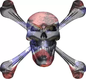Confederate Flag Skull and Cross Bones Decal / Sticker 07