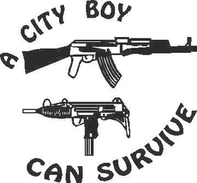 City Boys can Survive Decal / Sticker