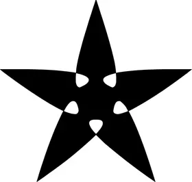 Star Decal / Sticker 14