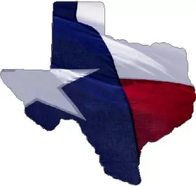 Texas State with Flag Decal / Sticker