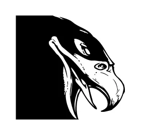 Hawks / Falcons Head Mascot Decal / Sticker