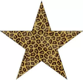 Leopard Print Star Decal / Sticker