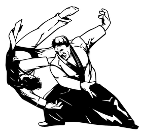 Karate Toss Decal / Sticker