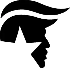 TRUMP Decal / Sticker 13