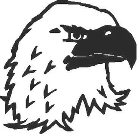 Bald Eagle 1 decal / sticker