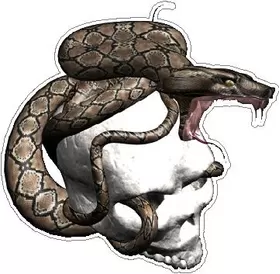 Snake Skull Decal / Sticker 03