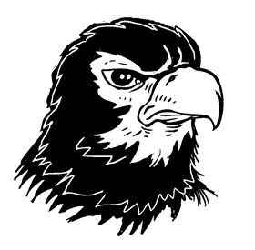 Hawks / Falcons Mascot Decal / Sticker 4