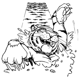 Swimming Tigers Mascot Decal / Sticker 2