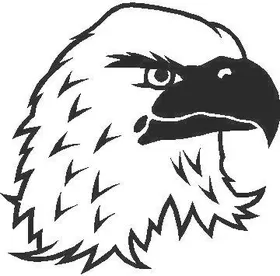 Eagle Head Decal / Sticker 04