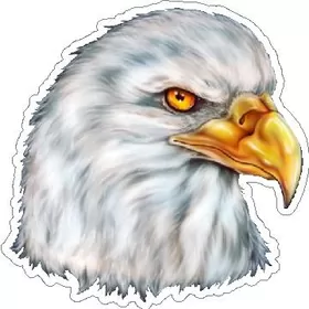 Eagle Head Decal / Sticker