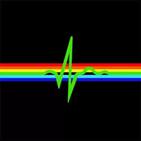 Pink Floyd Heartbeat Decal / Sticker 11