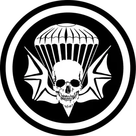 3-502nd Infantry Regiment Airborne Widowmaker Decal / Sticker 02