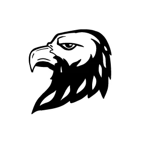 Eagles Head Mascot Decal / Sticker