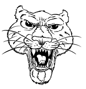 Cougars / Panthers Mascot Decal / Sticker 2