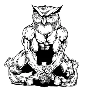 Wrestling Owls Mascot Decal / Sticker 1