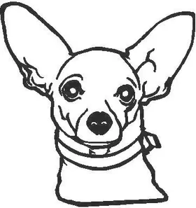 Chihuahua Decal / Sticker