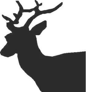 Buck Deer Decal / Sticker 02