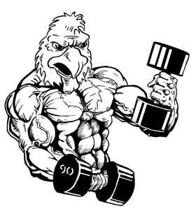 Weightlifting Gamecocks Mascot Decal / Sticker 5