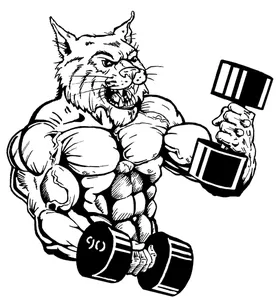 Weightlifting Wildcats Mascot Decal / Sticker 2