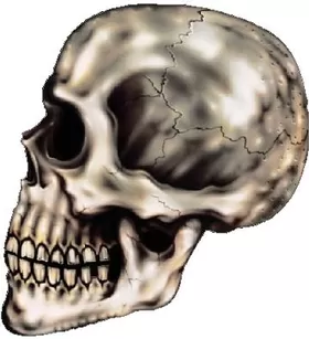 Skull Decal / Sticker 16FC