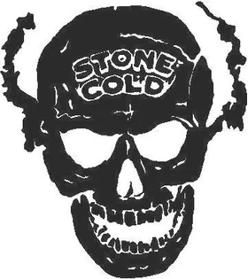 Stone Cold Skull  Decal / Sticker