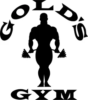 Gold's Gym Decal / Sticker 03