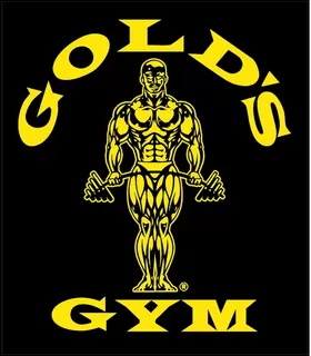 Gold's Gym Decal / Sticker 02