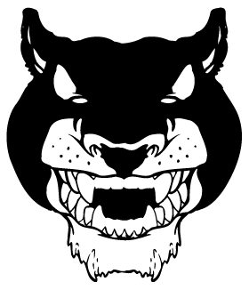 Cougars / Panthers Mascot Decal / Sticker