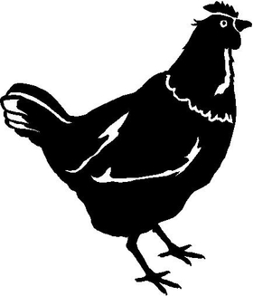Chicken Decal / Sticker 04