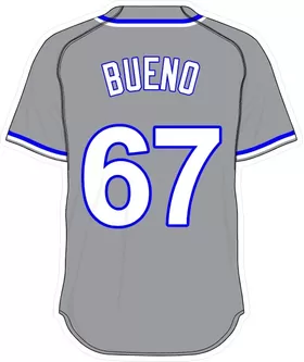 67 Francisley Bueno Gray Jersey Decal / Sticker